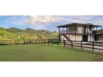 VENTA DE FINCA FREDONIA, SUROESTE ANTIOQUEÑO.