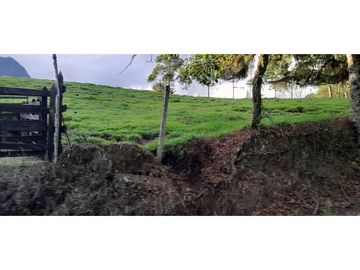 VENTA DE FINCA FREDONIA, SUROESTE ANTIOQUEÑO.