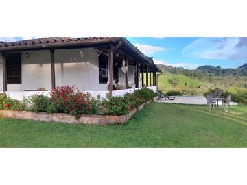 VENTA DE FINCA FREDONIA, SUROESTE ANTIOQUEÑO.