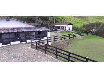 VENTA DE FINCA FREDONIA, SUROESTE ANTIOQUEÑO.