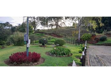 VENTA DE FINCA FREDONIA, SUROESTE ANTIOQUEÑO.