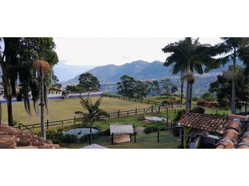 VENTA DE FINCA FREDONIA,SUROESTEANTIOQUEÑO.