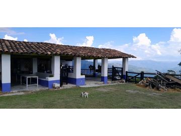 VENTA DE FINCA FREDONIA,SUROESTEANTIOQUEÑO.