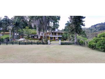 VENTA DE FINCA FREDONIA,SUROESTEANTIOQUEÑO.