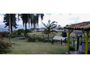 VENTA DE FINCA FREDONIA,SUROESTEANTIOQUEÑO.