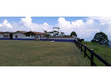 VENTA DE FINCA FREDONIA,SUROESTEANTIOQUEÑO.