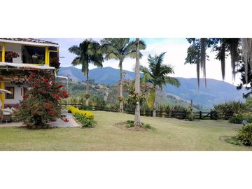 VENTA DE FINCA FREDONIA,SUROESTEANTIOQUEÑO.