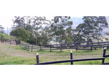VENTA DE FINCA FREDONIA,SUROESTEANTIOQUEÑO.