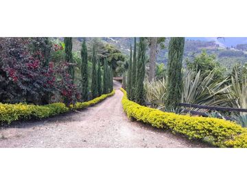 VENTA DE FINCA FREDONIA,SUROESTEANTIOQUEÑO.
