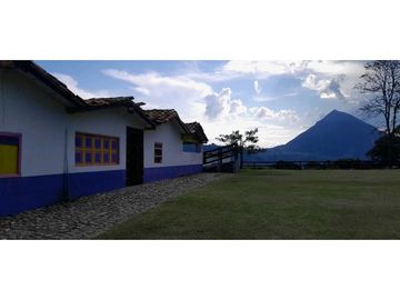 VENTA DE FINCA FREDONIA,SUROESTEANTIOQUEÑO.