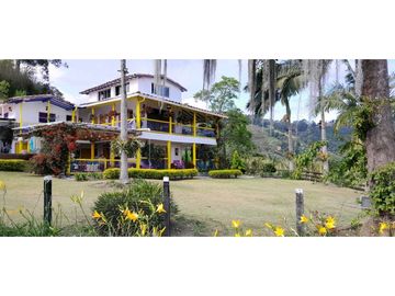 VENTA DE FINCA FREDONIA,SUROESTEANTIOQUEÑO.