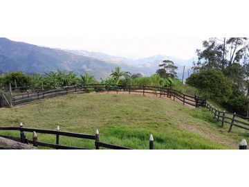 VENTA DE FINCA FREDONIA,SUROESTEANTIOQUEÑO.