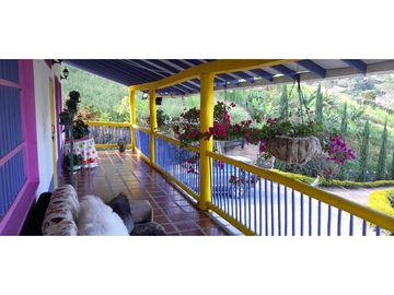 VENTA DE FINCA FREDONIA,SUROESTEANTIOQUEÑO.