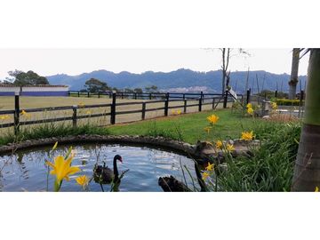 VENTA DE FINCA FREDONIA,SUROESTEANTIOQUEÑO.