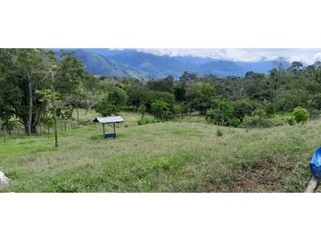 VENTA DE FINCA FREDONIA, SUROESTE ANTIOQUEÑO