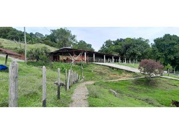 VENTA DE FINCA FREDONIA, SUROESTE ANTIOQUEÑO