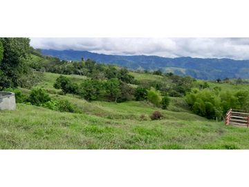 VENTA DE FINCA FREDONIA, SUROESTE ANTIOQUEÑO