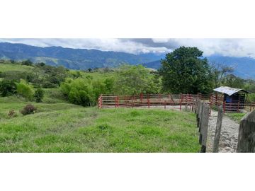 VENTA DE FINCA FREDONIA, SUROESTE ANTIOQUEÑO