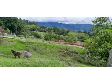 VENTA DE FINCA FREDONIA, SUROESTE ANTIOQUEÑO