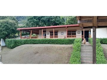 VENTA DE FINCA FREDONIA, SUROESTE ANTIOQUEÑO