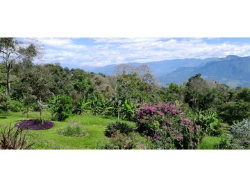 VENTA DE FINCA, FREDONIA, SUROESTE ANTIOQUEÑO.