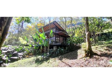 VENTA DE FINCA, FREDONIA, SUROESTE ANTIOQUEÑO.