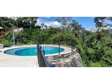 VENTA DE FINCA, FREDONIA, SUROESTE ANTIOQUEÑO.