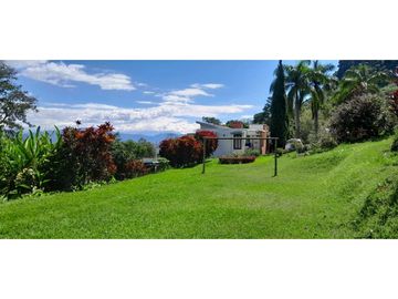 VENTA DE FINCA, FREDONIA, SUROESTE ANTIOQUEÑO.