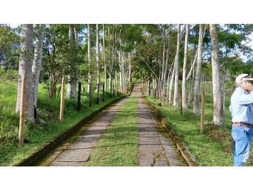 VENTA DE FINCA, FREDONIA SUROESTE ANTIOQUEÑO.