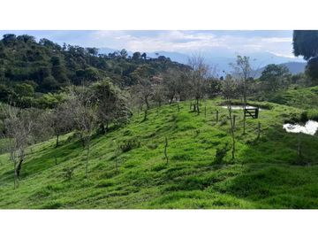 VENTA DE FINCA, FREDONIA SUROESTE ANTIOQUEÑO.