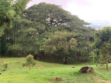 VENTA FINCA, VALPARAISO - SUROESTE ANTIOQUEÑO