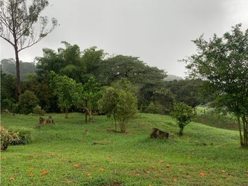 VENTA FINCA, VALPARAISO - SUROESTE ANTIOQUEÑO