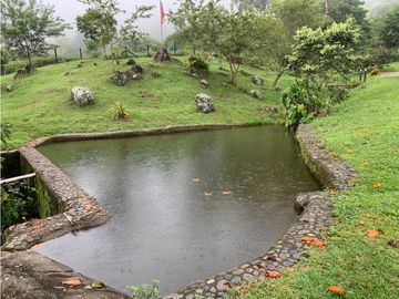 VENTA FINCA, VALPARAISO - SUROESTE ANTIOQUEÑO