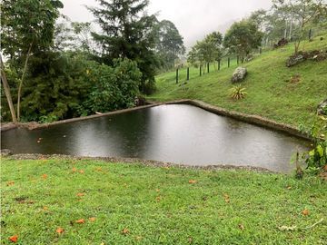 VENTA FINCA, VALPARAISO - SUROESTE ANTIOQUEÑO