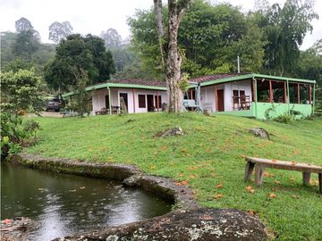 VENTA FINCA, VALPARAISO - SUROESTE ANTIOQUEÑO