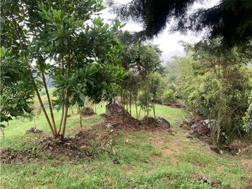VENTA FINCA, VALPARAISO - SUROESTE ANTIOQUEÑO