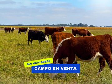 Campo en Mariano Miro