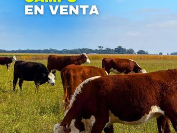 Campo en Mariano Miro