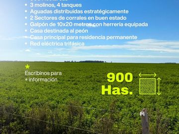 Campo en Mariano Miro