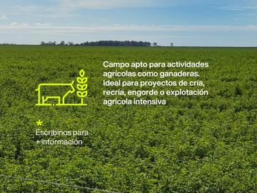 Campo en Mariano Miro