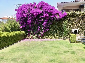 ¡Como Nueva! Casa con Jardín Privado en Zona Esmeralda