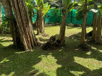 Venta De Casa Campestre En El Cumbre, Valle Del Cauca