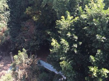 SE VENDE AL NORTE, COL. RANCHO CORTES, CUERNAVACA, MOR.