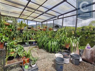 Venta casa finca San Félix Bello