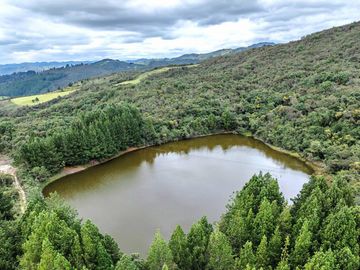 Hacienda en Venta en Tarqui, Cuenca, Azuay - 64,8 Hectareas - Hacienda Ganadera