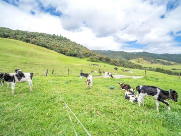 Hacienda en Venta en Tarqui, Cuenca, Azuay - 64,8 Hectareas - Hacienda Ganadera