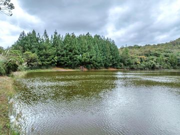 Hacienda en Venta en Tarqui, Cuenca, Azuay - 64,8 Hectareas - Hacienda Ganadera