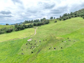 Hacienda en Venta en Tarqui, Cuenca, Azuay - 64,8 Hectareas - Hacienda Ganadera