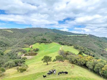 Hacienda en Venta en Tarqui, Cuenca, Azuay - 64,8 Hectareas - Hacienda Ganadera