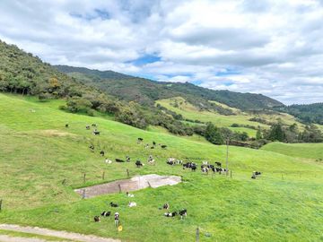Hacienda en Venta en Tarqui, Cuenca, Azuay - 64,8 Hectareas - Hacienda Ganadera